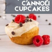 cupcake with cannoli frosting, fresh raspberries and mini chocolate chips.