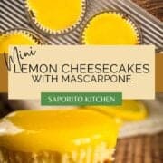 mini cheesecakes topped with lemon curd