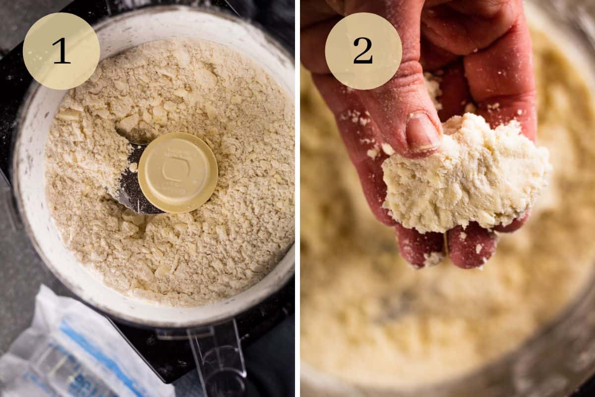 flour and butter mixed in a food processor and hand holding a clump of crumbly pie dough.