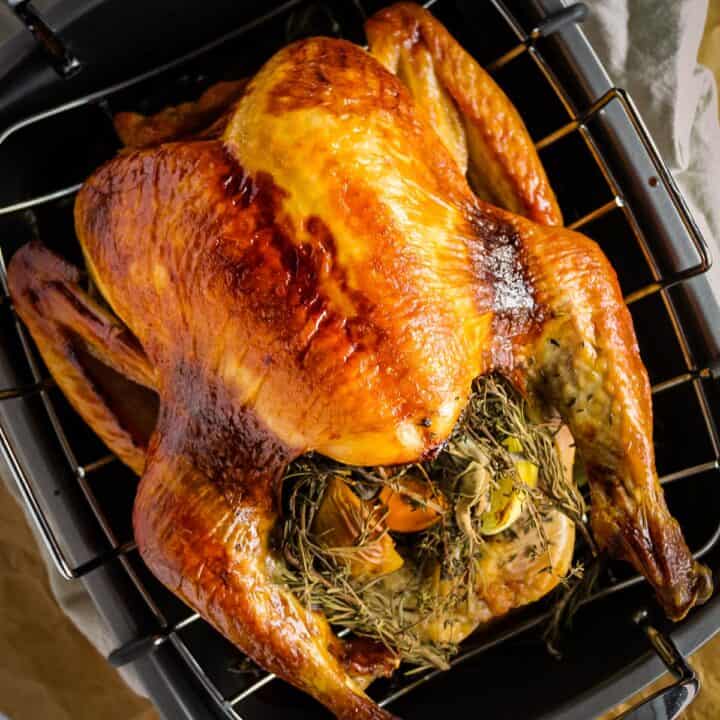 golden roasted stuffed turkey on a roasting pan.