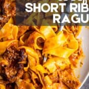 plate of short rib ragu with pappardelle pasta with a fork twirled in it.