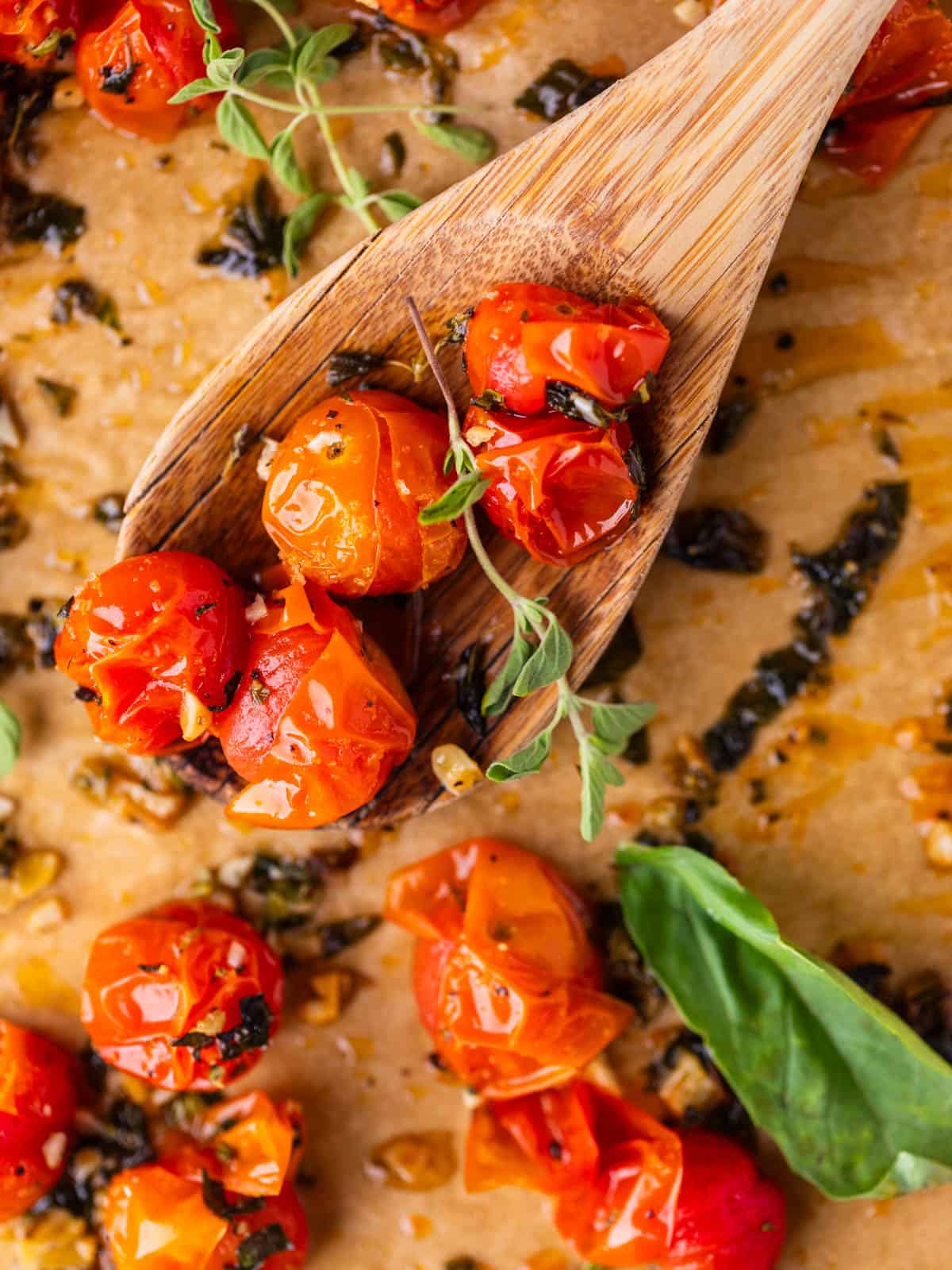 roasted cherry tomatoes on a wooden spoon with fresh thyme and basil near by.