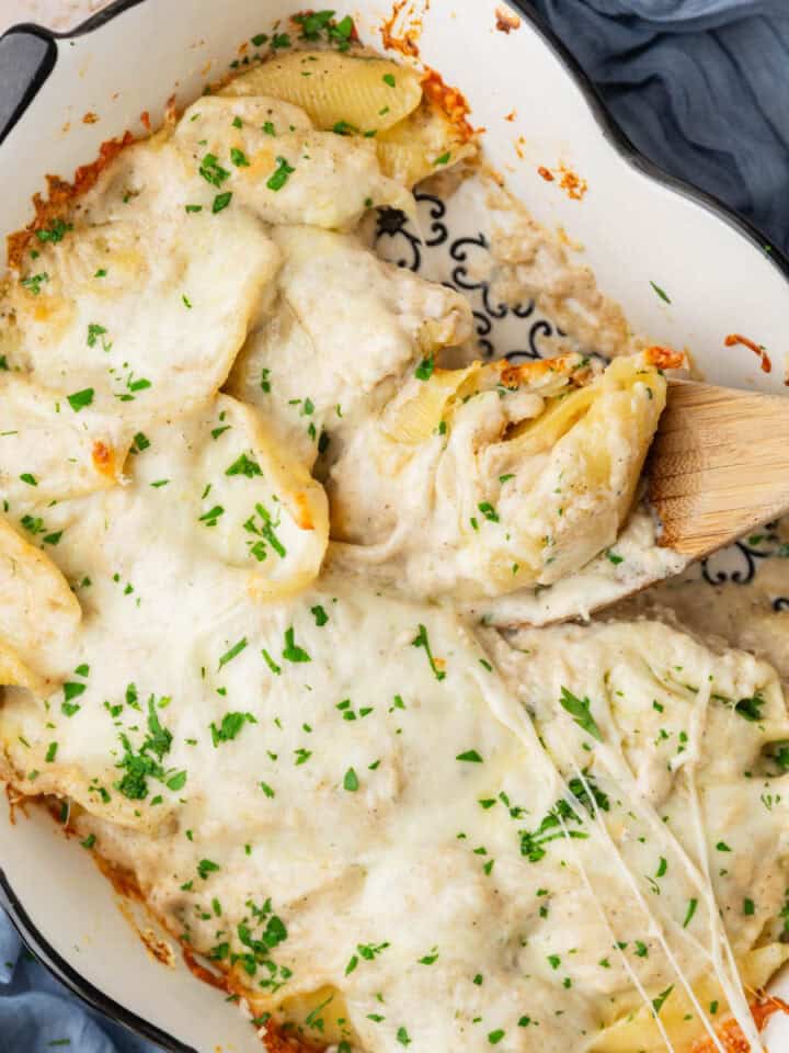 chicken alfredo stuffed shells with melted cheese on top with spoon scooping some out.