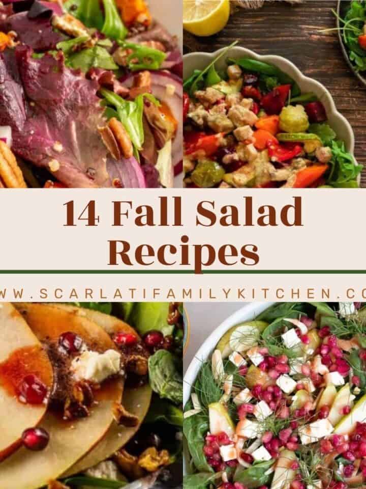 Collage of images of salads with the text overlay "14 fall salad recipes".