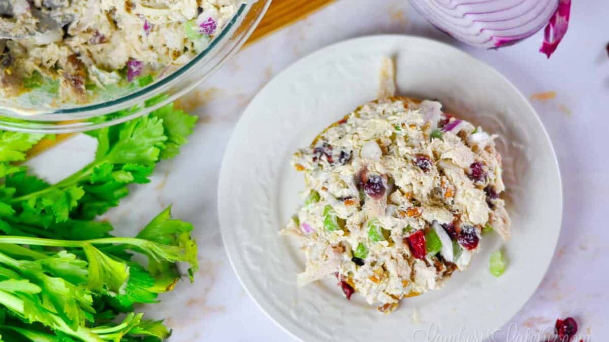 Chicken chicken salad with cranberries in it on a white plate.