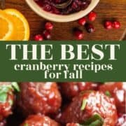 Cranberry sauce and cranberry glazed meatballs with a text overly "the best cranberry recipes for fall".