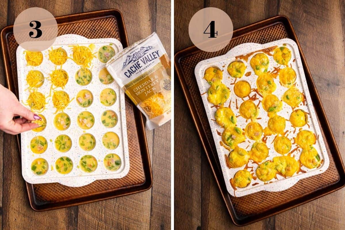 Shredded cheese being added to mini egg bites in a muffin pan and baked egg bites.