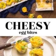 Cheesy egg bites in a mini muffin pan and on a plate, text that reads "cheesy egg bites".